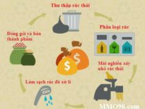 Đầu tư Recyclix.com công ty tái chế rác lãi 14% trong 5 tuần( Not Pay )