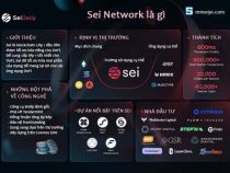 Thông tin về nền tảng layer 1 Sei Network dành cho Defi