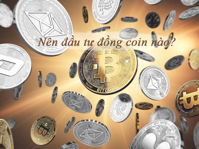 những đồng altcoin năm giữ dài hạn