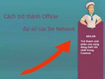 Hướng dẫn lên Officer đại sứ của Sei Network