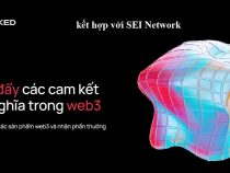 Nhiệm vụ mới từ Sei Network là Sei testnet Mission trên nền tảng Blocked